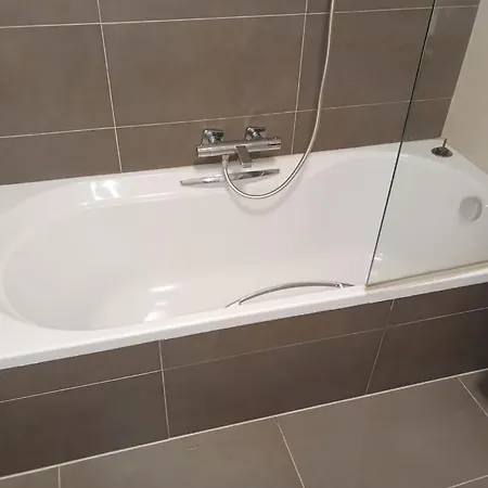 Deer Vlakbij Zee En Gratis P * Ostenda